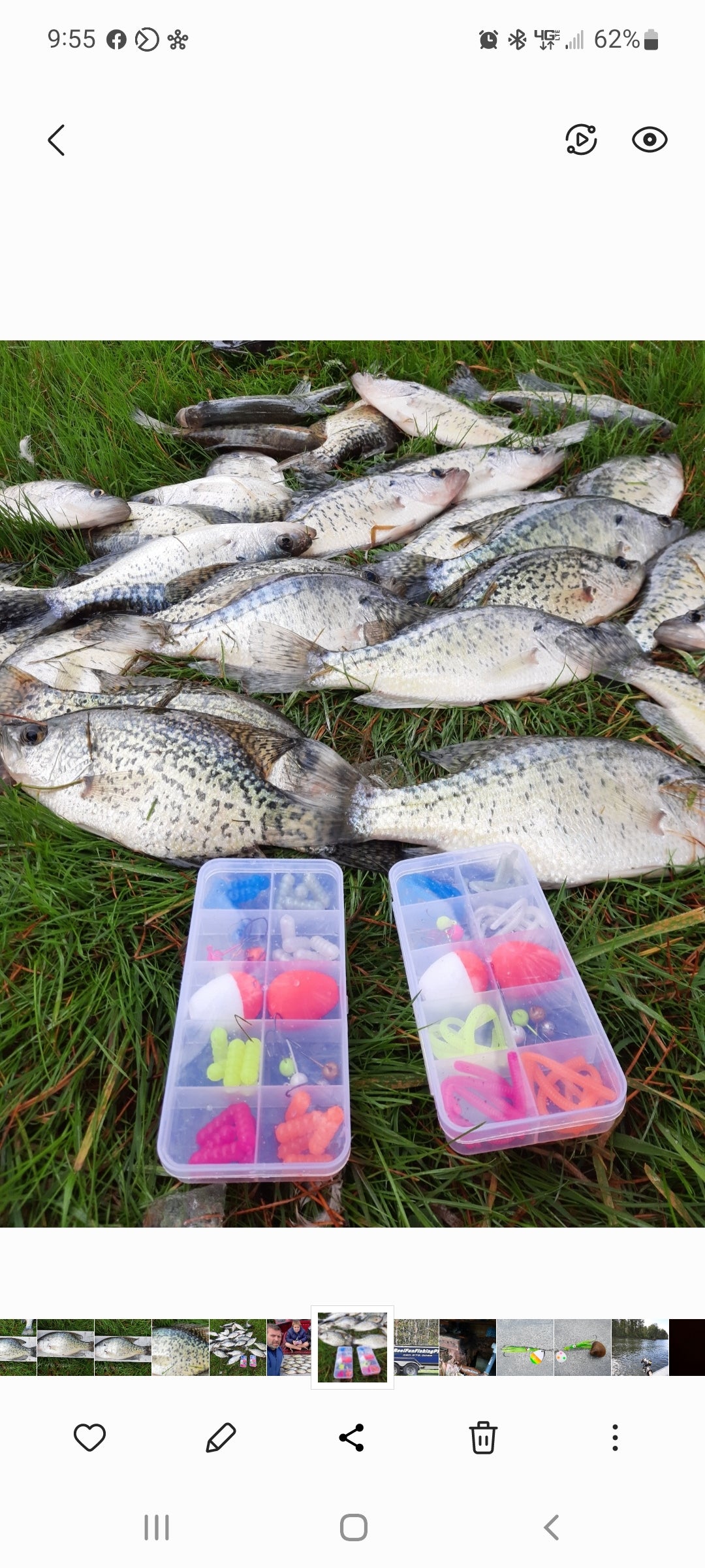 Crappie trout & steelhead Worms