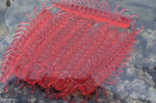 red blood bug Hellgrammites soft bait